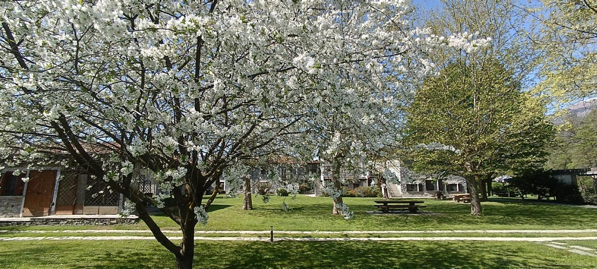Cascina Borgofrancone Lejlighedshotel Gera Lario Eksteriør billede